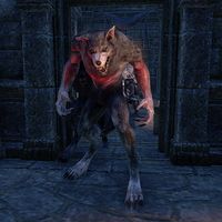 ON-creature-Accursed Werewolf.jpg