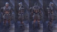 ON-item-armor-Black Drake Clanwrap.jpg