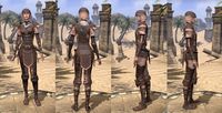 ON-item-armor-Breton Medium 2 Female.jpg