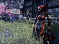 ESO: Talk to Sergeant Kamu - Into the Woods - , The Video