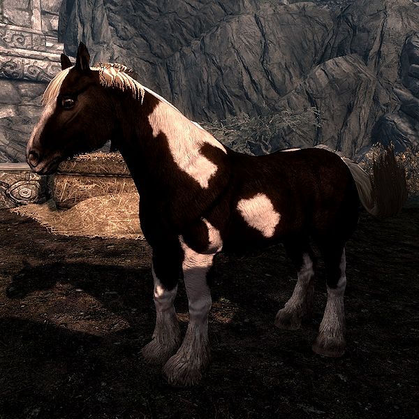 SkyrimHorses The Unofficial Elder Scrolls Pages (UESP)