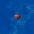 Thumbnail for version as of 01:35, 22 April 2025
