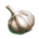 ON-icon-food-Garlic.png