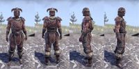 ON-item-armor-Nord Medium 2 Male.jpg