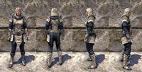 ON-item-armor-Steadfast Society Medium Female.jpg