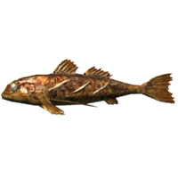 SR-icon-food-Cooked Direfish.png