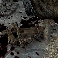 Skyrim:Wood Elf (dead) - The Unofficial Elder Scrolls 