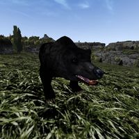 TD3-creature-Black Bear.jpg