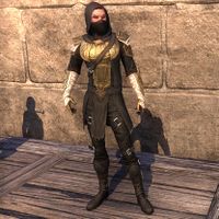 10-Year Anniversary Breton Hero (female)