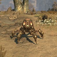 ON-creature-Firepot Spider.jpg
