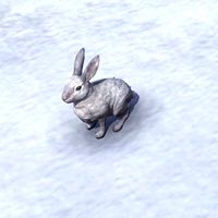 ON-creature-Rabbit 02.jpg