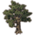 ON-icon-furnishing-Tree, Robust Fig.png