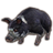 ON-icon-pet-Psijic Domino Pig.png