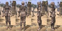 ON-item-armor-Redguard Medium 1 Female.jpg