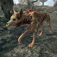 SI-creature-Skinned Hound.jpg