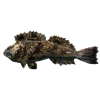 SR-icon-food-Scorpion Fish.png