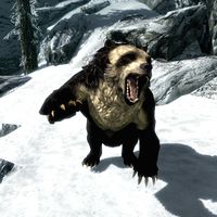BS5C-creature-Masked Bear.jpg