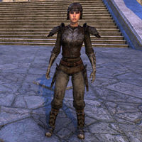 Soul-Shriven Armor Outfit (female)