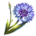 ON-icon-reagent-Corn Flower.png