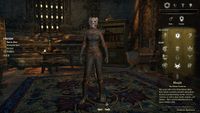 ON-misc-Character Creation 04.jpg