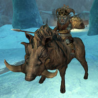 Skyrim Riekling The Unofficial Elder Scrolls Pages Uesp