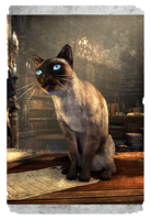 ON-card-Necrom Ghostgazer Cat.png