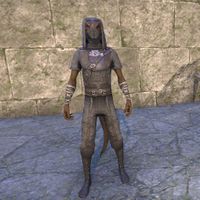 Crafty Lerisa's Thief Outfit (male)
