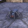ON-pet-Frostbite Spider.jpg