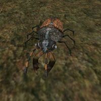TD3-creature-Brown Beetle.jpg