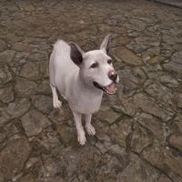 OBR-creature-Kezune.jpg