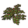 ON-icon-furnishing-Bush, Red Berry.png