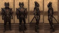 ON-item-armor-Annihilarch's Chosen Light (Jerkin) Khajiit.jpg