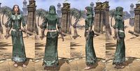 ON-item-armor-Homespun-Robe-SoulShriven-Female.jpg