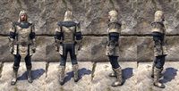 ON-item-armor-Steadfast Society Medium Male.jpg