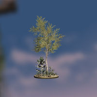 BL-decoration-Tall Aspen Tree.jpg