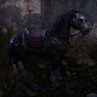 ON-creature-Aurelia's Horse.jpg