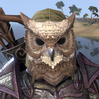ON-hat-Jhunal's Owl Mask.jpg