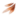 ON-icon-style material-Tide-Born Feathers.png