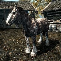 Skyrim:Horses - The Unofficial Elder Scrolls Pages (UESP)