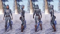 ON-item-armor-Saarthal Scholar (female).jpg