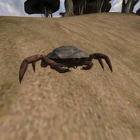 TD3-creature-Sea Crab.jpg