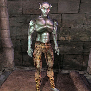 Tamriel Rebuilt:Medenb Renim - The Unofficial Elder Scrolls Pages (UESP)