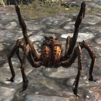 BL-creature-Forest Spider.jpg