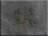 DF-icon-ingredient-Bamboo.png