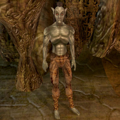 Morrowind:Llaals Ores - The Unofficial Elder Scrolls Pages (UESP)