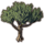ON-icon-furnishing-Tree, Branched Succulent.png