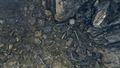 Thumbnail for version as of 15:02, 18 May 2025