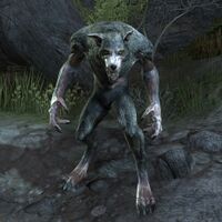 ON-creature-Werewolf (Pack Hunter).jpg