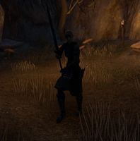 ON-npc-Corrupted Stonelore Fenwitch.jpg