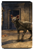 ON-card-Tu'whacca's Sphynx Cat.png